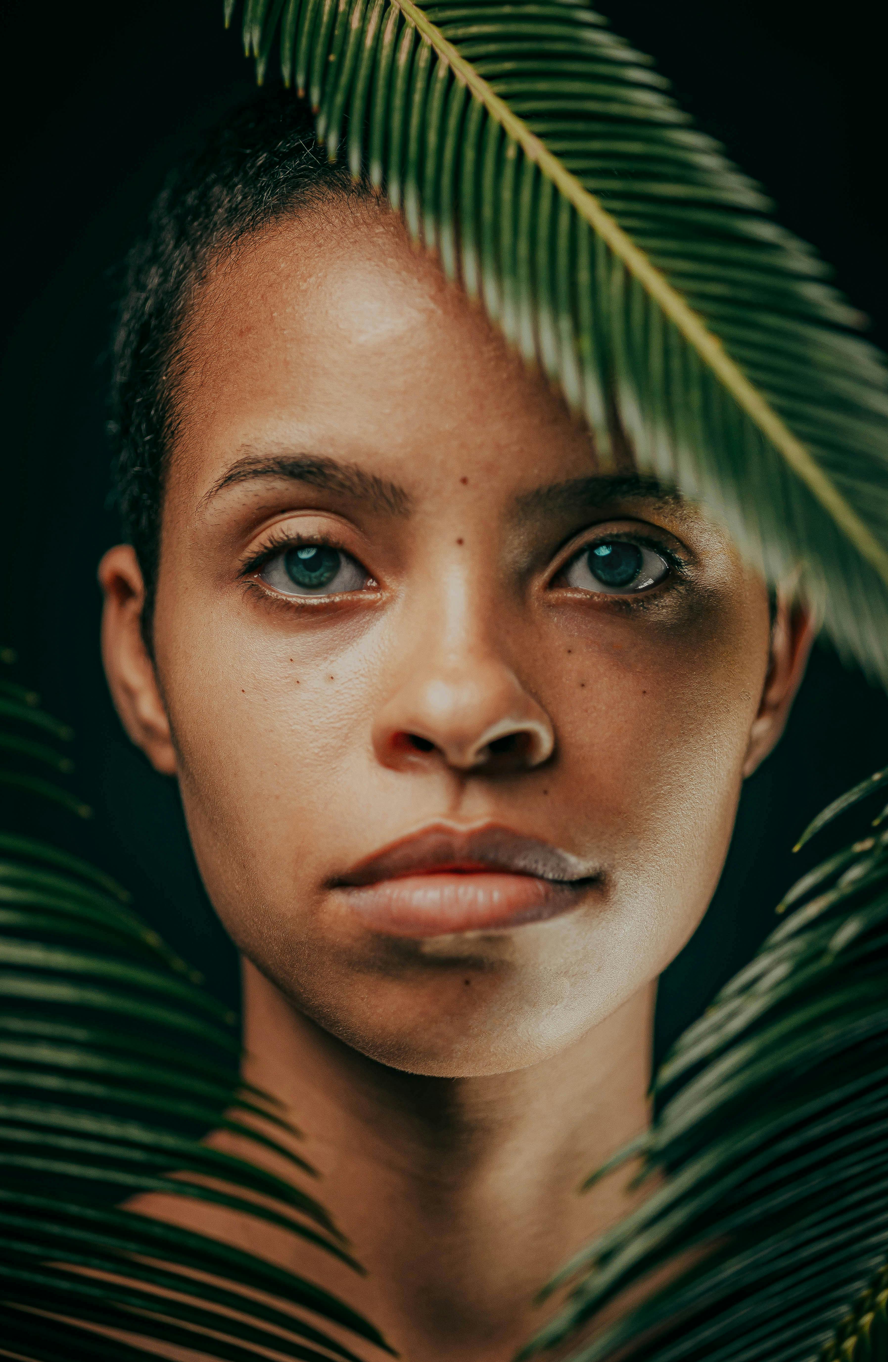 银翼的誓言海报